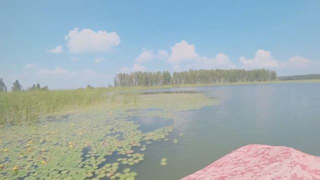 Обское море в день рыбака смотреть онлайн