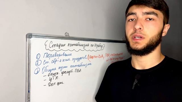 ЭНЕРГЕТИЧЕСКИЙ ОБМЕН | ЦИКЛ КРЕБСА | ДЫХАТЕЛЬНАЯ ЦЕПЬ смотреть онлайн