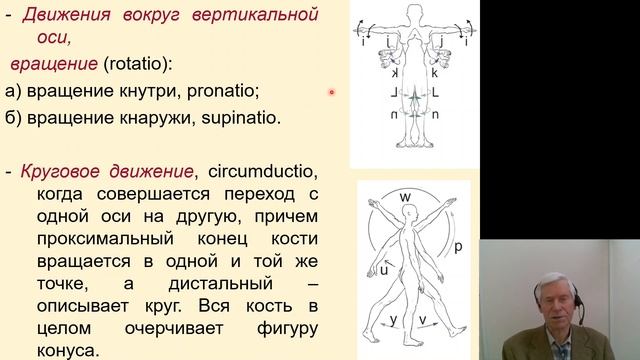 Анатомия 3.Учение о соединениях костей