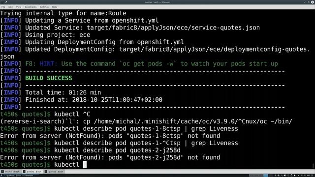 Cloud Native development with Eclipse MicroProfile on Kubernetes | EclipseCon Europe 2018 смотреть онлайн