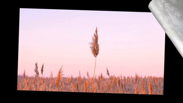 Послание Николаю от твоей Души! Ченнелинг. Евгения Холова смотреть онлайн