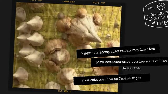 CACTUS NIJAR/RUTA 1 смотреть онлайн