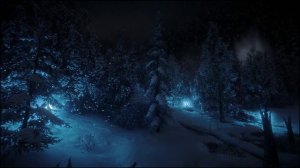 Ночной зимний лес с холодным ветром со снегом ASMR и  звуки леса которые помогут вам уснуть