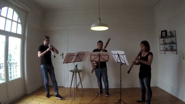 Trio for oboe, clarinet and bassoon (Wim Henderickx) смотреть онлайн