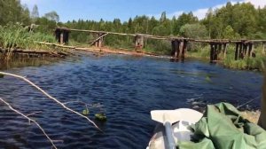 Рыбалка Река Ковжа 2018 Архангельская область