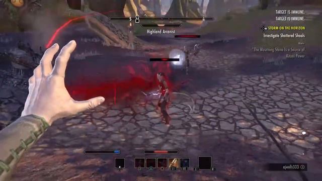 Plaing Skyrim Online