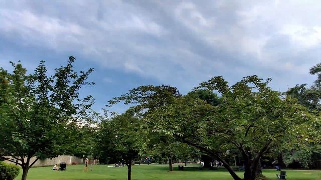 Джорджтаун: самый старый и дорогой район Вашингтона смотреть онлайн