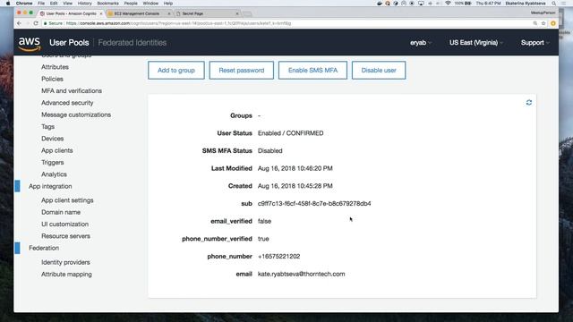 User Authentication with AWS Application Load Balancer and Cognito (w/o modifying your source code! смотреть онлайн