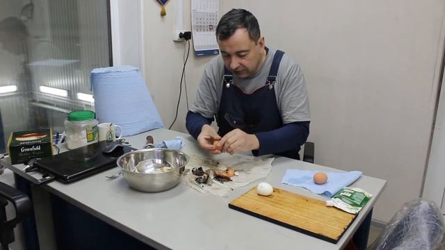 Путешествия Вокруг Света