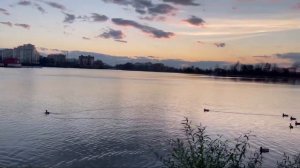 «Там журавлі летіли клином» - «Олена Білоконь» !💕
