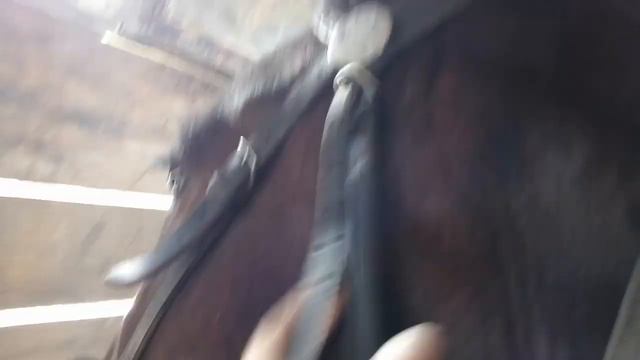 ЭХ ВЫ КОНИ МОИ РЕЗВИВЫЕ /РУССКИЙ ДУХ /ОРЛОВЕЦ /СЕЛЬСКИЕЙ БЫТ / смотреть онлайн