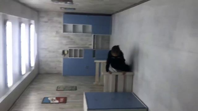 Эврикум Парк чудес Алматы Алтыным смотреть онлайн