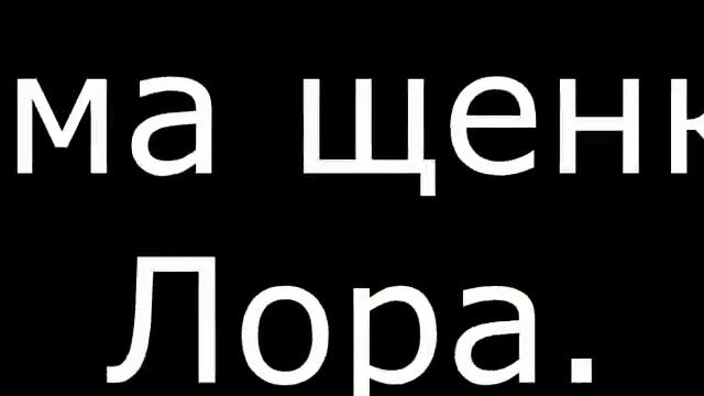 Щенки 12.09.2019г. смотреть онлайн