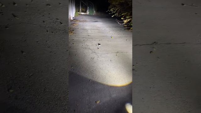 Viper led pro lazer ПТФ 3.0 установка на Ладу Гранту 7(928)1112002 sever auto смотреть онлайн