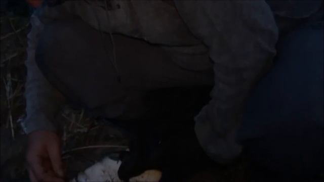 и еще один небольшой сомик смотреть онлайн