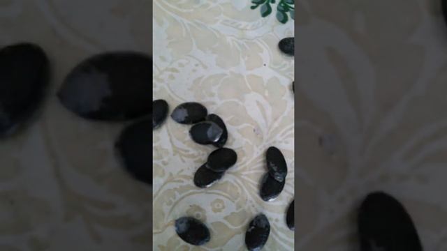 ЛЮФФА -ЛЮФФОЧКА смотреть онлайн