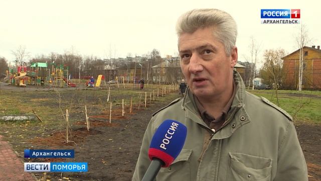 На улице Победы в Архангельске появилась аллея смотреть онлайн