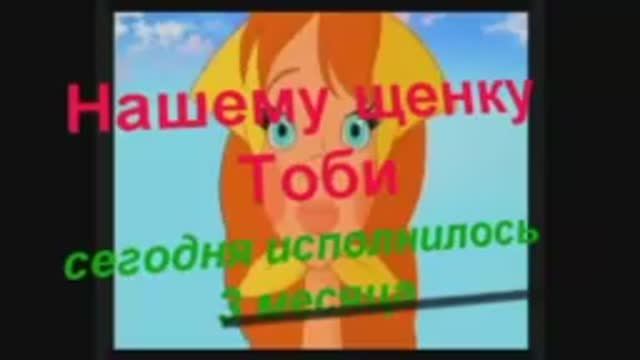 Щенячья Днюха!!!