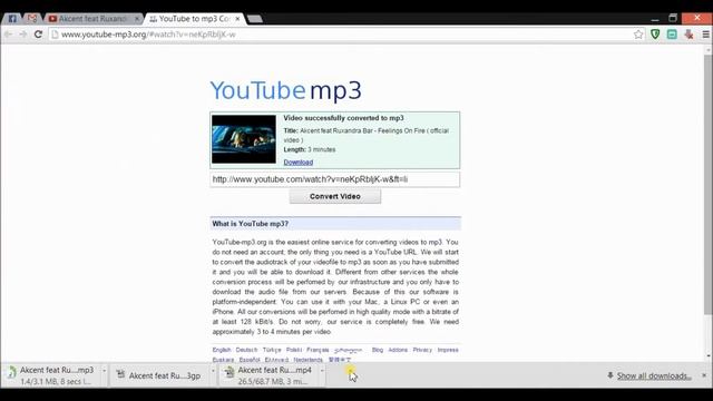 How Royal Video Downloader Works смотреть онлайн