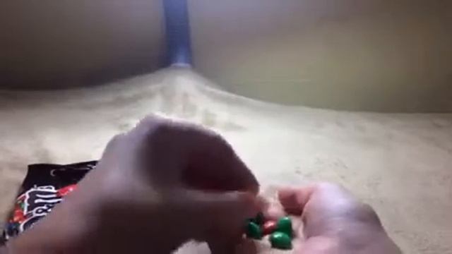Открываю зелёный Kit Kat, печеньки Rocky и M&M's. смотреть онлайн