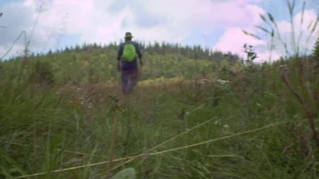 Карпаты. Хребет Черный Дол возле с.Сарата.19.08.18 г. смотреть онлайн