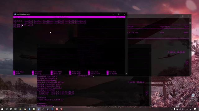 How to setup HAProxy as Load Balancer for Nginx on CentOS 7 смотреть онлайн