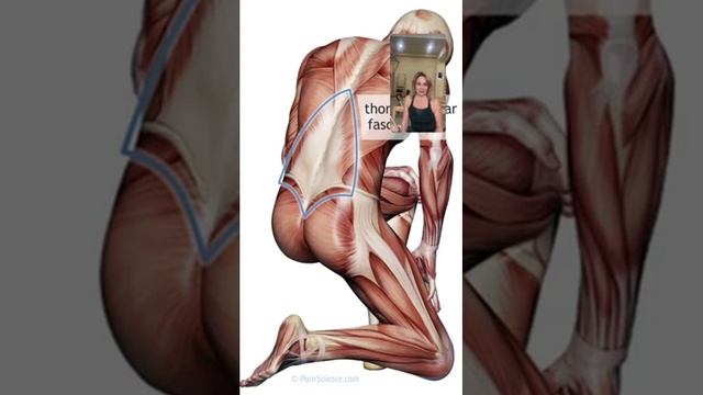 За сколько тренировок можно понять что такое Пилатес? смотреть онлайн
