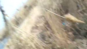 Рыбалка в Крайновке(Брянск)