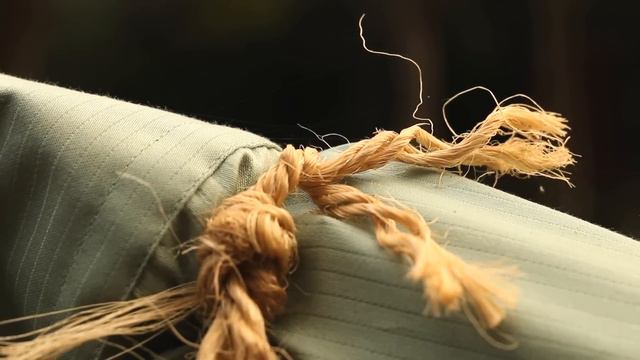 FANTASTIC 50 - Sigma 50mm F1.4 Art Lens