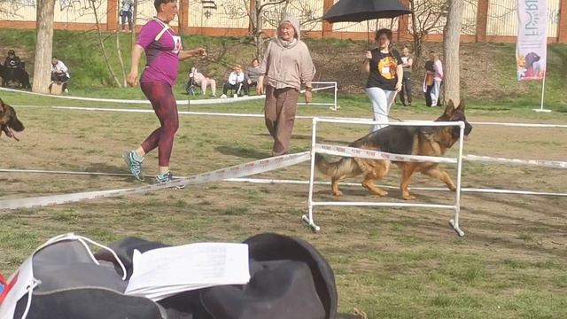 Рабочие суки 6