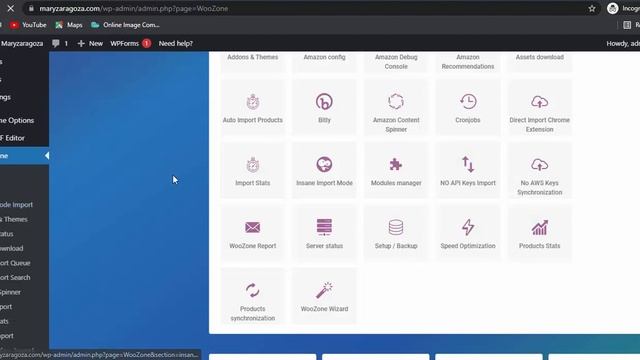 Customize wordpress website | Customize wordpress theme| WooZone Amazon Affiliate WordPress Plugin смотреть онлайн