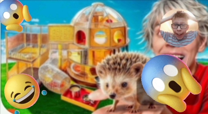 Реакция на А4! Построили ДОМ МЕЧТЫ ЗА 100.000$ для ЕЖА! *Новый участник А4*! Реакция Димы на А4!