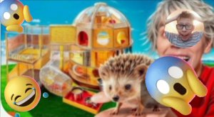 Реакция на А4! Построили ДОМ МЕЧТЫ ЗА 100.000$ для ЕЖА! *Новый участник А4*! Реакция Димы на А4!