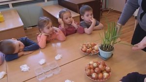 НАШ ДЕТСКИЙ САД.  Как мы сажали лук