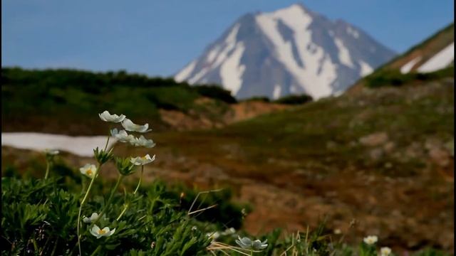 Камчатка. В районе Вилючи. смотреть онлайн