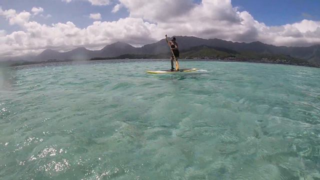 KANEOHE BAY SANDBAR HAWAII || HOLO HOLO ADVENTURES смотреть онлайн
