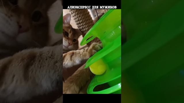 Трехъярусная игрушка для кошек