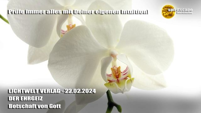 DER EHRGEIZ - Botschaft von Gott ~ LWV смотреть онлайн