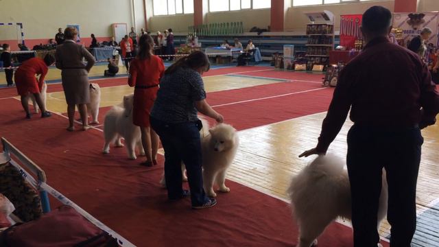 28/04/19 моно сес Пенза, сравнение смотреть онлайн