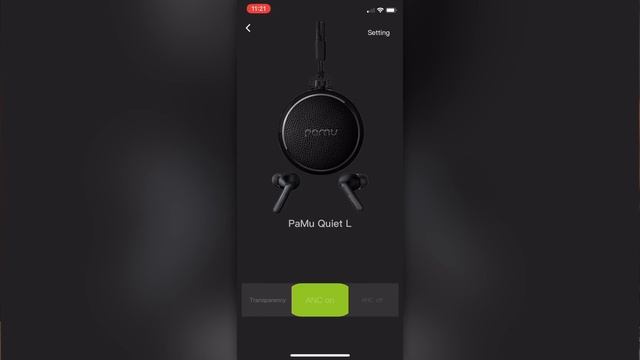 Padmate Pamu Unique & Pamu Quiet | Fun and Affordable ANC Earbuds смотреть онлайн