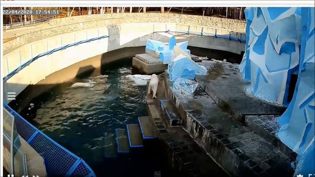 Новосибирский зоопарк имени Р. А. Шило / Novosibirsk zoo named after R. A. Shilo. смотреть онлайн