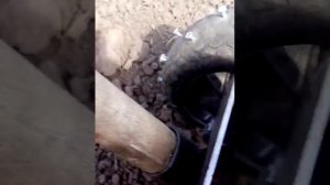 Самодельная суперская сеялка ручная семян моркови,свеклы и др