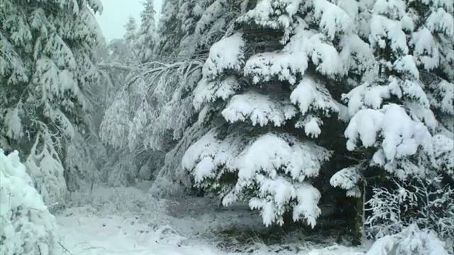 Finland смотреть онлайн