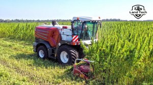 Первый Российский комбайн для уборки конопли в действии! Испытания нового комбайна от Ростсельмаш!