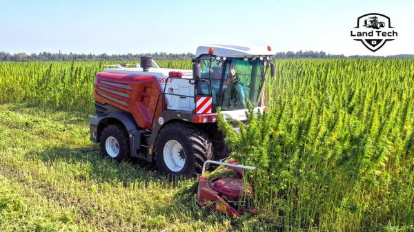 Первый Российский комбайн для уборки конопли в действии! Испытания нового комбайна от Ростсельмаш!