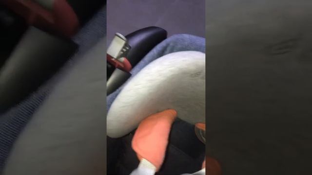Автокресло Maxi Cosi Tobi смотреть онлайн