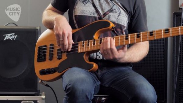 Recenze Schecter Model T Session