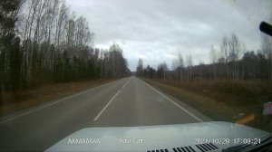 Лось выскочил на дорогу