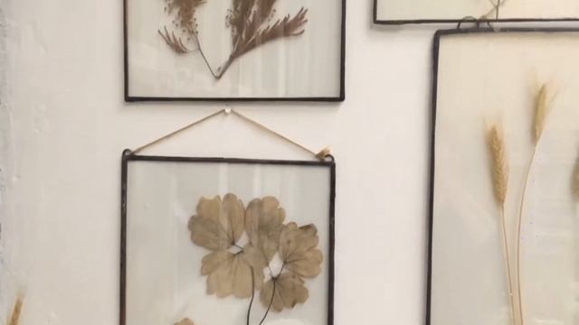 Работы с гербарием в разных размерах и вариантах исполнения смотреть онлайн