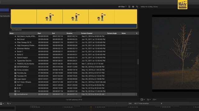 Лайфхак#5 Изменение цветового пространства. Final Cut Pro X